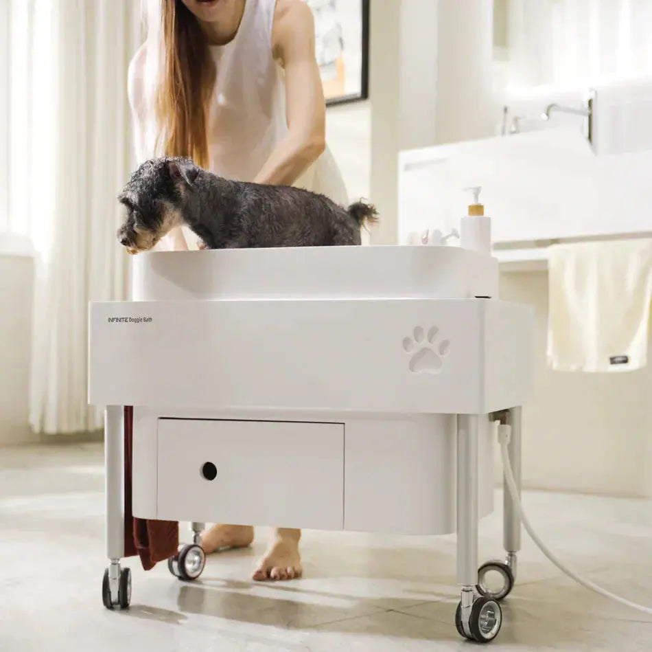 doggie bath, dog bathtub, puppy bathtub,寵物浴缸,可移動浴缸,pet bathtub, 大型犬浴缸，小型犬浴缸, 犬隻浴缸，狗狗浴缸,Dog Grooming Bath Tub, animal bathtub, cat bathtub, Small pet bathtub hk,寵物沖涼,寵物洗澡