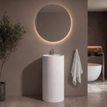 Modern bathroom with a round mirror, pedestal sink, and plant.