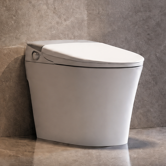 Modern toilet in a bathroom with a scenic view of a house by the water.