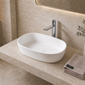 Modern bathroom Solid Surfaces sink with faucet, towel, and plant in a neutral-toned setting