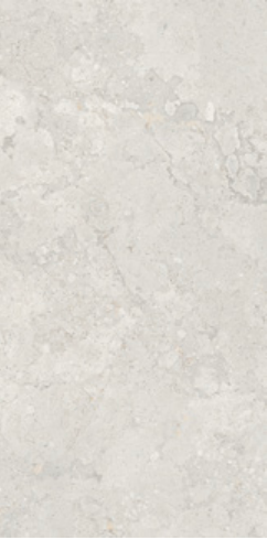 FOSSIL 120
