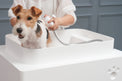 Doggie Bath (Small Breed)-BATHTUBS-doggie bath, dog bathtub, puppy bathtub,寵物浴缸,可移動浴缸,pet bathtub, 大型犬浴缸，小型犬浴缸, 犬隻浴缸，狗狗浴缸,Dog Grooming Bath Tub, animal bathtub, cat bathtub, Small pet bathtub hk,寵物沖涼,寵物洗澡