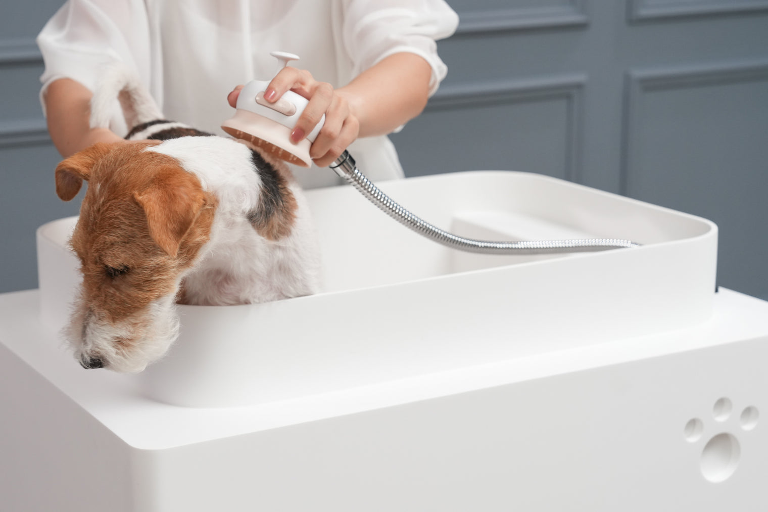 Doggie Bath (Small Breed)-BATHTUBS-doggie bath, dog bathtub, puppy bathtub,寵物浴缸,可移動浴缸,pet bathtub, 大型犬浴缸，小型犬浴缸, 犬隻浴缸，狗狗浴缸,Dog Grooming Bath Tub, animal bathtub, cat bathtub, Small pet bathtub hk,寵物沖涼,寵物洗澡