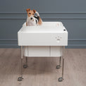 Doggie Bath (Small Breed)-BATHTUBS-doggie bath, dog bathtub, puppy bathtub,寵物浴缸,可移動浴缸,pet bathtub, 大型犬浴缸，小型犬浴缸, 犬隻浴缸，狗狗浴缸,Dog Grooming Bath Tub, animal bathtub, cat bathtub, Small pet bathtub hk,寵物沖涼,寵物洗澡