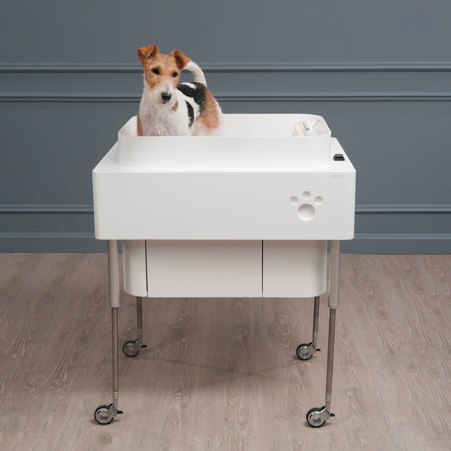 Doggie Bath (Small Breed)-BATHTUBS-doggie bath, dog bathtub, puppy bathtub,寵物浴缸,可移動浴缸,pet bathtub, 大型犬浴缸，小型犬浴缸, 犬隻浴缸，狗狗浴缸,Dog Grooming Bath Tub, animal bathtub, cat bathtub, Small pet bathtub hk,寵物沖涼,寵物洗澡