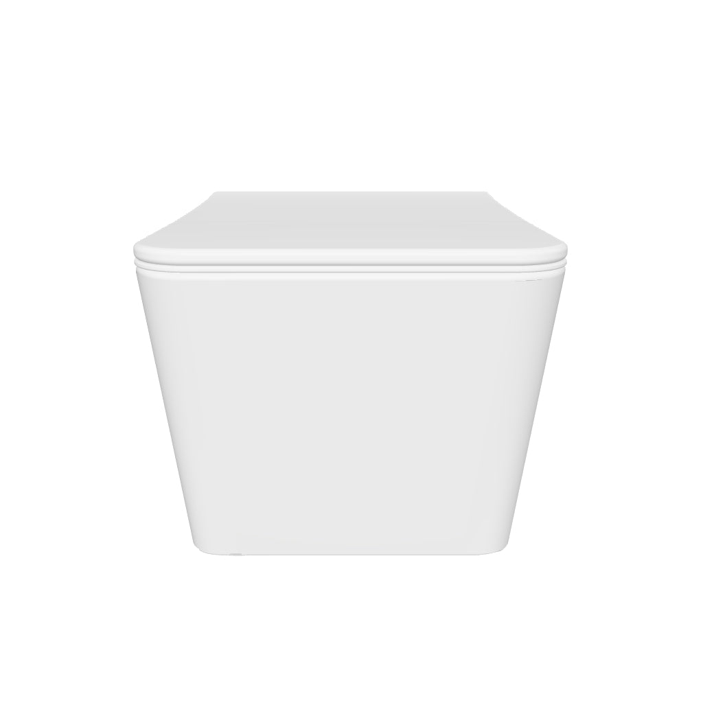 LILLE Wall Mounted Toilet